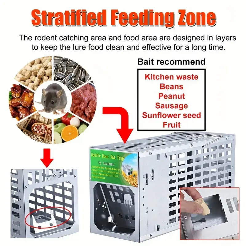 T12203-mouse-trap (10).webp