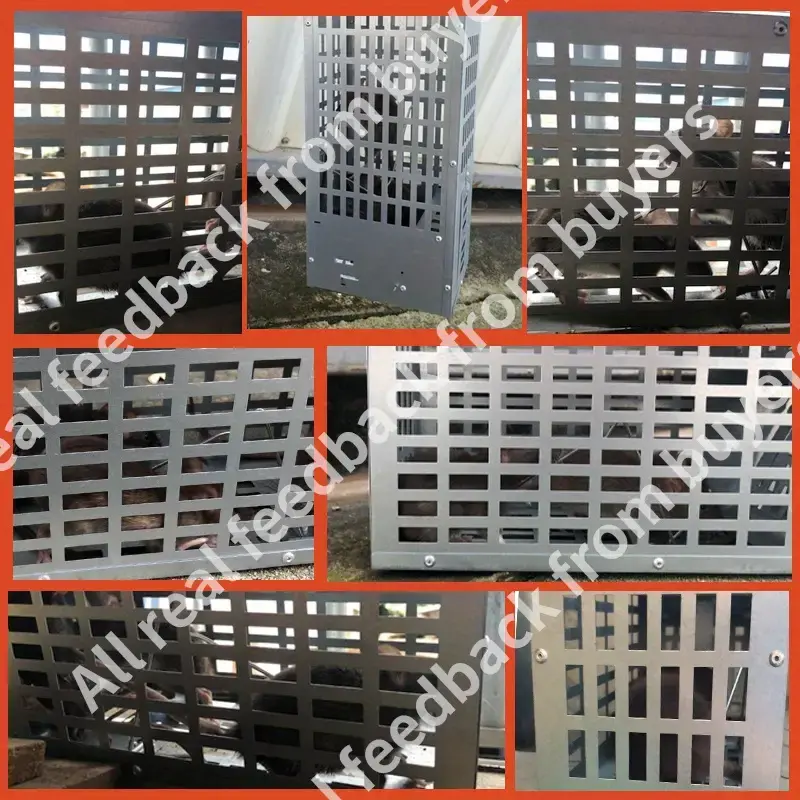 T12203-mouse-trap (6).webp