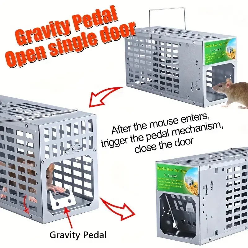 T12203-mouse-trap (8).webp