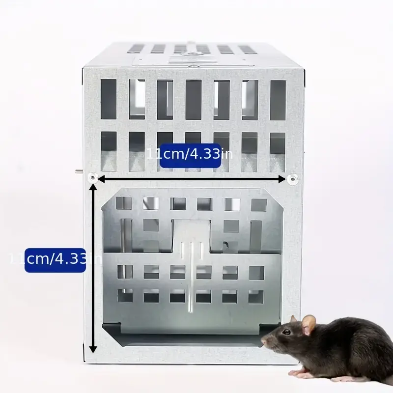 T12203-mouse-trap (5).webp